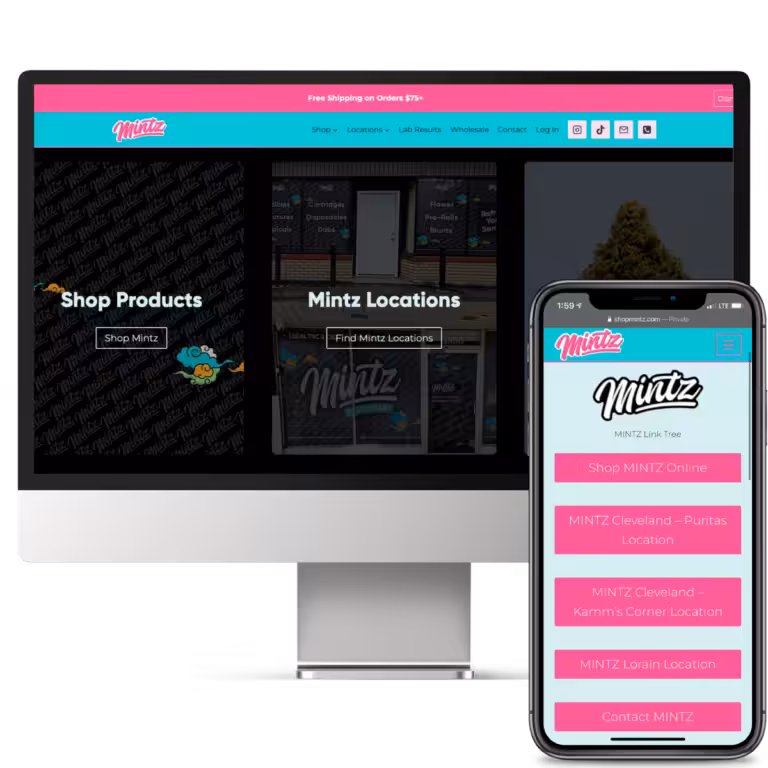 MINTZ Website Combo View
