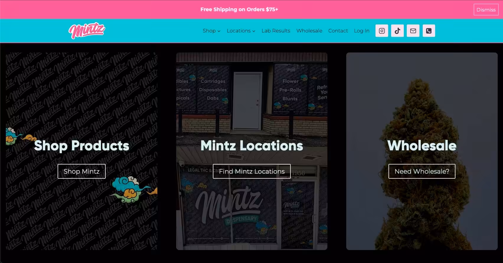 MINTZ Home Page Example
